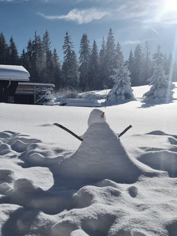 location-chalet-premanon-haut-jura-2